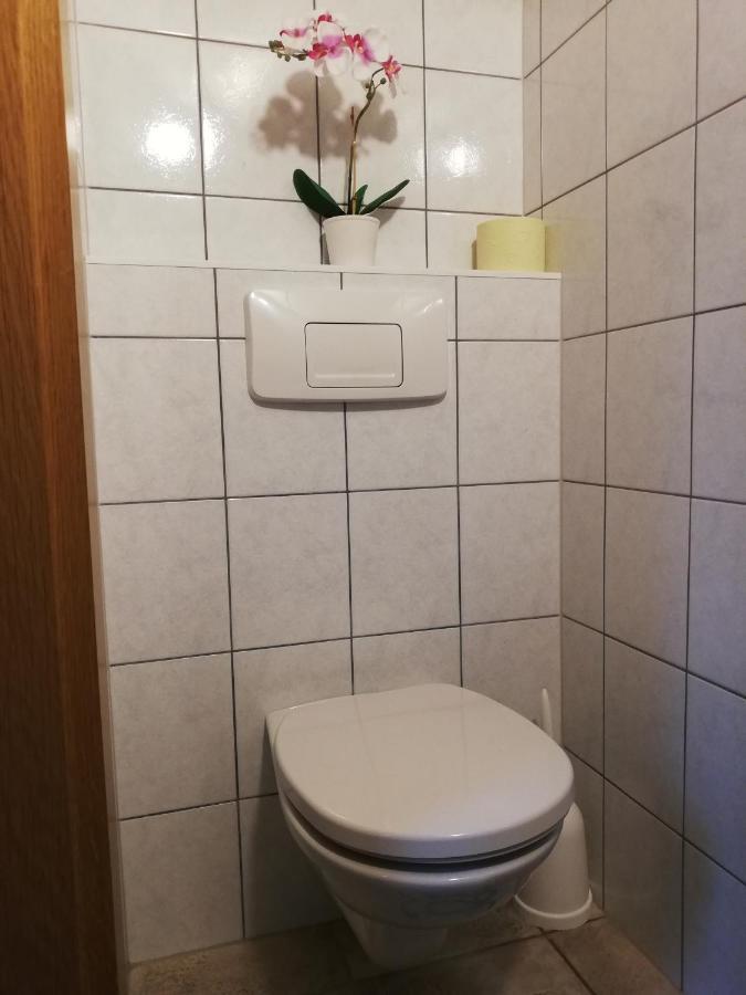 Apartment Natur Herz Haus im Ennstal Exterior foto